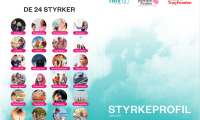 Styrkeprifilark_billede_udskoling